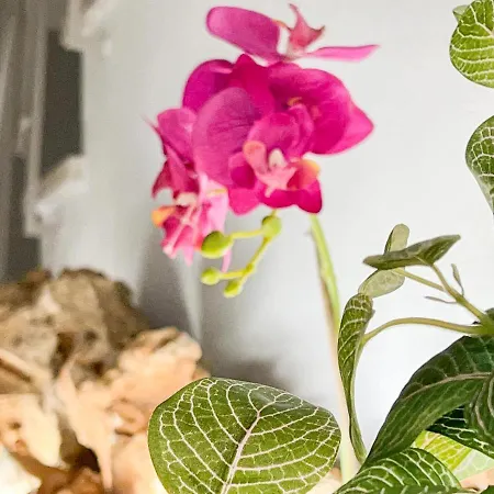 Sunny Retreat By Lovelystay Apartament *